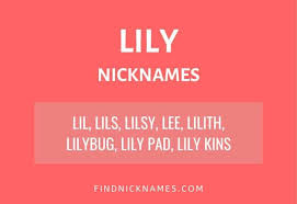 Did you know that the french language is said to be the language of love? 25 Creative Nicknames For Lily Find Nicknames