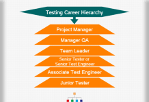 Ernst Young Career Hierarchy Chart Hierarchystructure Com