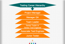 Deloitte Career Hierarchy Chart Hierarchystructure Com