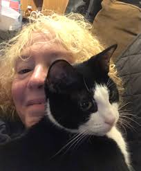 What are the opinions and experiences with Litter Robot vs Leo's Loo Too  for multi-cat households?