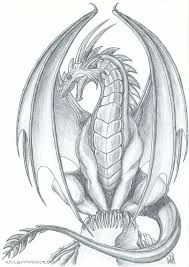 Check spelling or type a new query. Cool Dragon Drawing Ideas Novocom Top