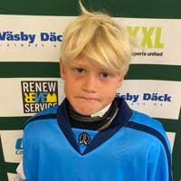 SHD SWE Midwest South '13