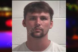 Tanner Epperson — Henry County Jail Bookings