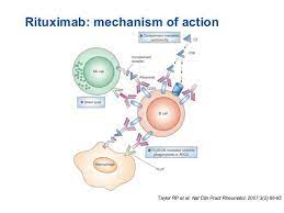 Pin On Immunopathology Systemic Lupus Eritematosus Sle Lupus Eritematoso Sistemico