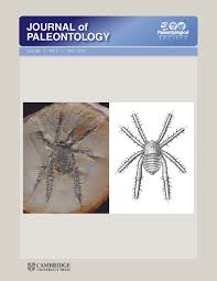 New species of Hipparion from La Roma 2 (Late Vallesian; Teruel, Spain): A  study of the morphological and biometric variability of Hipparion  primigenium