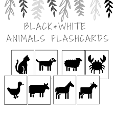 Black White Images For Babies Black White Free Printable Animals Flashcards For Babies Baby Flash Cards Animal Flashcards Animals Black And White