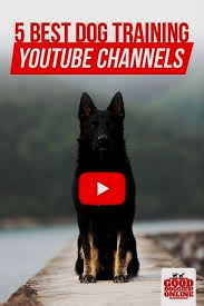 Dog Training High Pitched Noise Button Dog Training Quincy Wa Dog Training German Shepherd Aggression Dog Training Videos Dog Training Best Dog Training