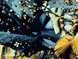 Science Is Beautiful The Human Body Under The Microscope Things Under A Microscope Microscopic Photography Cool Photos