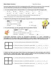 Spongebob squarepants recently met spongesusie roundpants at a dance. Kami Export D Andre Hawkins Spongebob Genetics Pdf Bikini Bottom Genetics Name Scientists At Bikini Bottoms Have Been Investigating The Genetic Course Hero