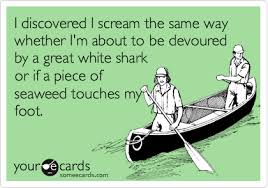 Shark Or Seaweed Same Thing Humor Laugh Bones Funny