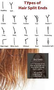 Pin On Natural Beauty