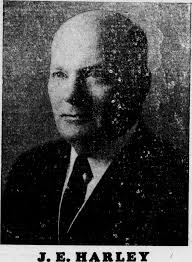 NEW GIN AT PLUM BRANCH