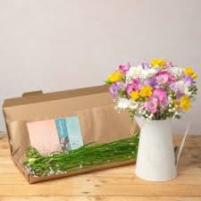 We did not find results for: Asda Sainsburys Or Tesco Flowers Delivery Cheap Flowers Delivered