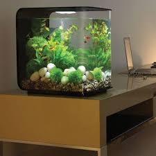 Small Fish Tank Aquarium Decorations Aquarium Design Small Fish Tanks