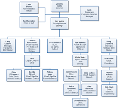 51 right ice organizational chart