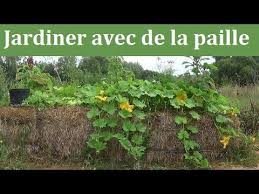 Super Culture En Lasagnes Youtube Jardin Fruitier Culture En Lasagne Idees Jardin