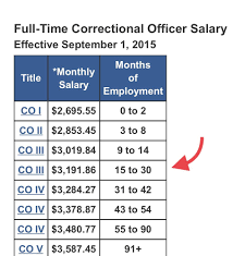 You Won T Find This On Tdcj Website I Did Not Start As A Co 3 I Started As A Co 1 Correctional Officer Employment Periodic Table