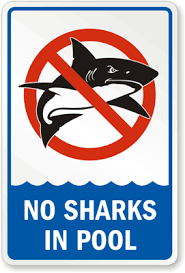 Funny Swimming Pool Signs Humorous Swimming Pool Signs Swimming Pool Signs Pool Signs Shark Sign