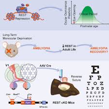 Image result for Dark Hunter Green 1999 AAV