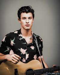 Výroba pracovních oděvů palička s.r.o. Abigail Palicka Shawn Shawn Mendes Mendes