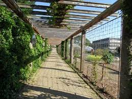 Meilenstein in der förderung des botanischen gartens. Botanischer Garten Mainz Aufnahme Von Botanischer Garten Mainz Tripadvisor