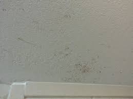 Once you're ready with the preparation, the steps to do are: Black Spots On Bathroom Wall Novocom Top