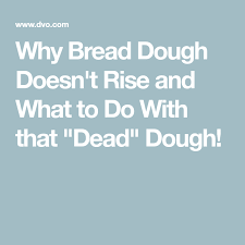 Pin On Bread Recipes
