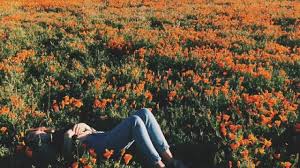 Aesthetic Orange On Tumblr