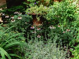 16 flowering shrubs for shade. 14 Top Landscape Plants For Shady Landscapes