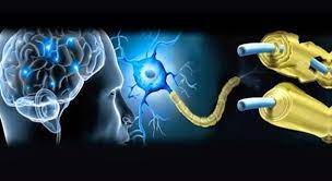 La em es causada por el daño a la vaina de mielina. Esclerosis Multiple Tipos Sintomas Y Posibles Causas Esclerosis Multiple Esclerosis Enfermedades Cronica