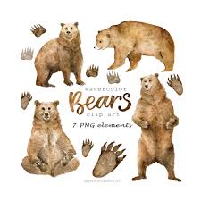Check spelling or type a new query. Wild Bears Clipart Brown Bears Clip Art Forest Animals Etsy Bear Clipart Bear Watercolor Zoo Art