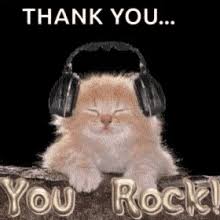 See more ideas about thanks gif, cute gif, cute love gif. Funny Thank You Gifs Tenor