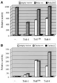 Cite this article as cold spring harb perspect biol 2009;1 import, but by a balance between slow import. Toll 9 Activation Is Mediated By Dorsal Ventral Signaling Components Download Scientific Diagram