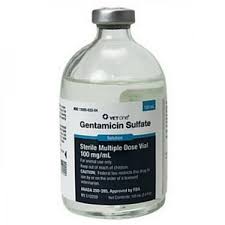 It can be given intravenously, by injection into a. Gentamicin Sulfate Antibacterial Drugs Antiinfectivemeds Com