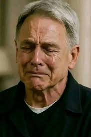 Declaration of love for Mark Harmon