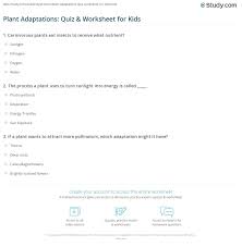 Only true fans will be able to answer all 50 halloween trivia questions correctly. Plant Adaptations Quiz Worksheet For Kids Study Com