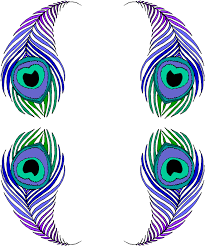 There's something for everyone from beginners to the advanced. Peacock Feather Colouring Pages Clipart Large Size Png Image Pikpng