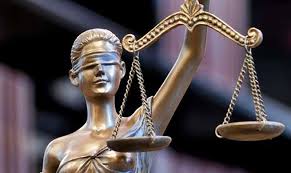 Image result for Justicia engleriana