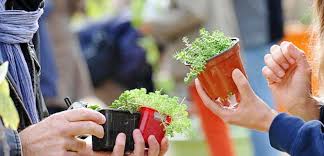 Les classes de mme larouche ont construit d'autres bacs en bois afin de faire des sections thématiques. Anneville En Saire Un Vide Jardin Pas Comme Les Autres