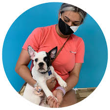 Looking for low cost pet vet? Locations Find Your Nearest Vet Clinic Emancipet