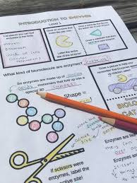 Fun Enzyme Doodle Notes Lesson Biology Lessons Biology Activity Doodle Notes