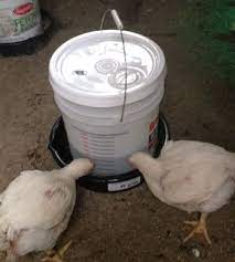 Diy 5 Gallon Chicken Waterers For Cheap Chicken Waterer Chicken Waterer Diy Chicken Diy