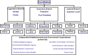 Kinda Blank Govt Chart Teaching Government Social Studies