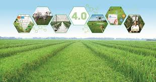 Sự chênh lệch học phí giữa các trường đại học quốc lập, công lập và dân lập nhiều hay ít? Phat Triá»ƒn Nong Nghiá»‡p á»Ÿ Viá»‡t Nam Thá»i Cong Nghá»‡ 4 0