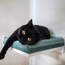 Wally Bridge Flat Flat Mount Cat Bridge Wall Mounted Etsy Cat Shelves Cat Steps Cat Bed