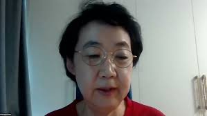 The UN Human Rights Accountability Mechanisms: The UN Treaty Bodies