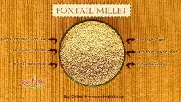 benefits of foxl millet