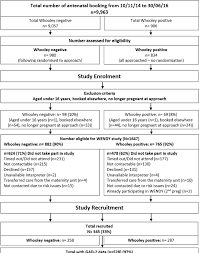 Flow Chart Of Women Through The Well Being In Pregnancy