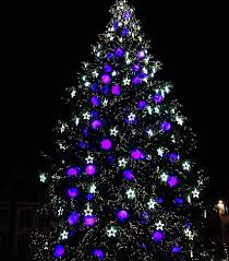 Black Christmas Tree Purple Lights Black Christmas Trees Christmas Tree Christmas Themes