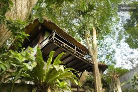 Magical Treehouse Stunning View In Ubud Ubud Tree House Treehouse Villas
